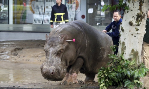 georgia zoo