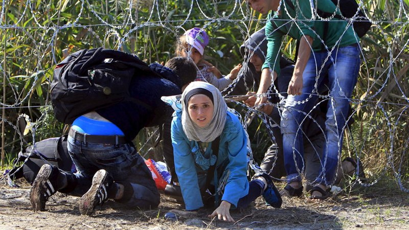 A Syrian migrant family enters Hungary at the border with Serbia near Roszke, Hungary August 28, 2015. (Reuters)