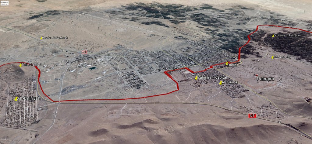 palmyra