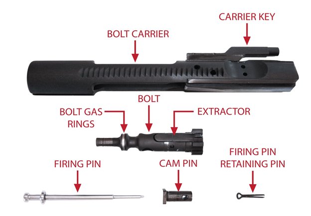 Bolt and bolt carrier of the AR.