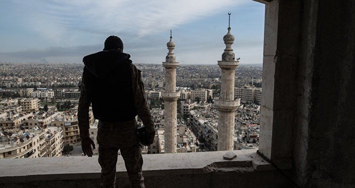 A soldier of the Syrian Arab Army is seen here in Aleppo © Sputnik/ Iliya Pitalev