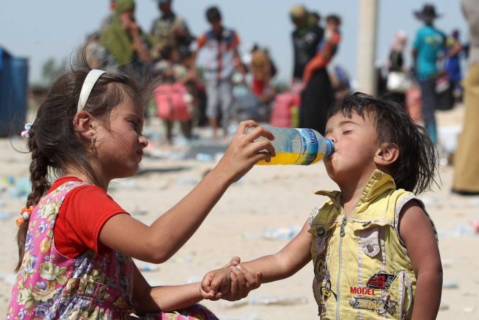 About 18,000 people have fled Fallujah since an operation began to retake the city. AFP: Ahmad Al-Rubaye