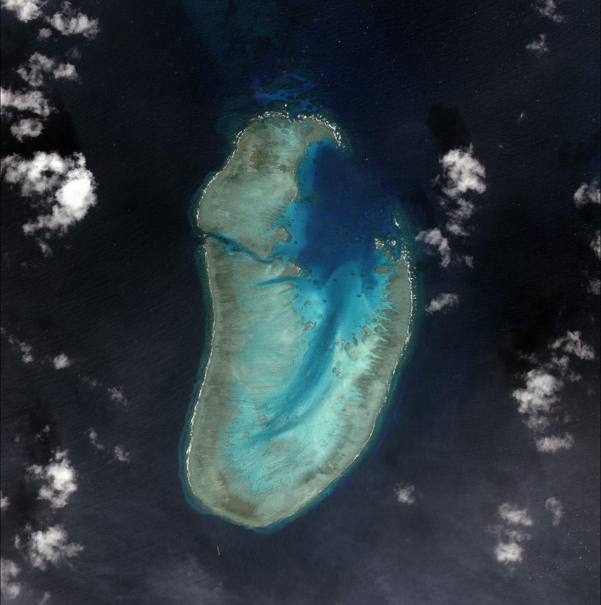 Johnson South Reef on November 29, 2004