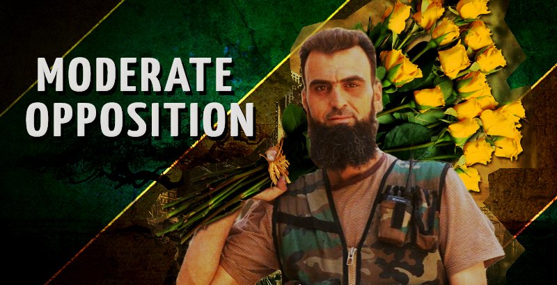 moderate-opposition