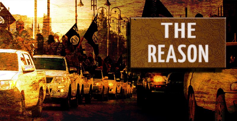the-reason