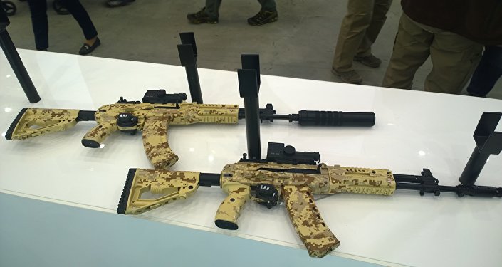 AK-15 and AK-12. Source: Sputnik/Vasily Raksha